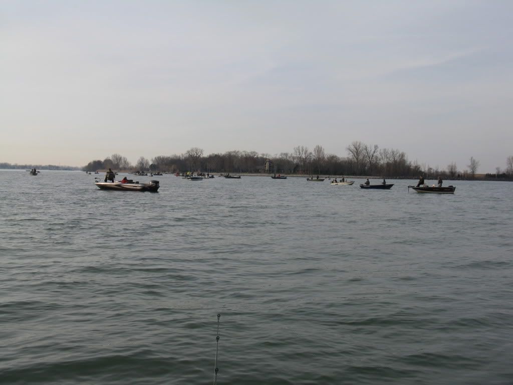 IMG_1173.jpg