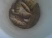 IMG00255-20110113-1529.jpg