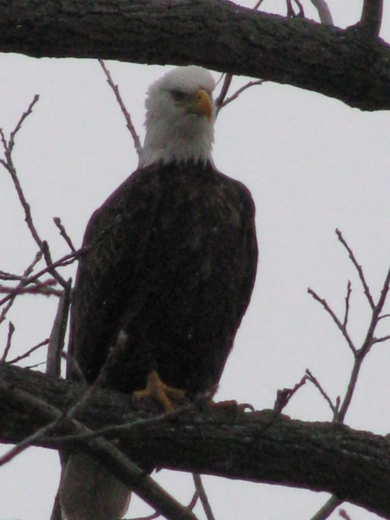 IMG_3285.jpg