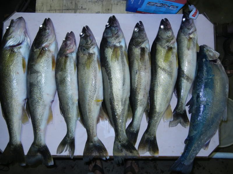 DSCN0470.jpg
