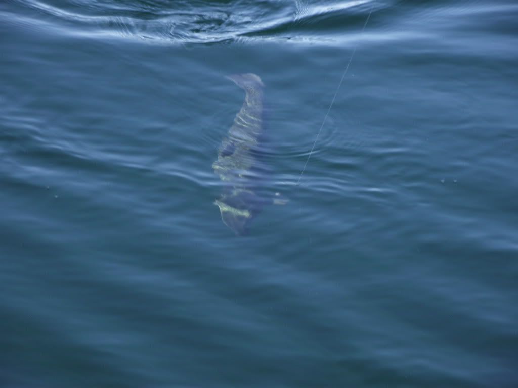 2012_04070149.jpg