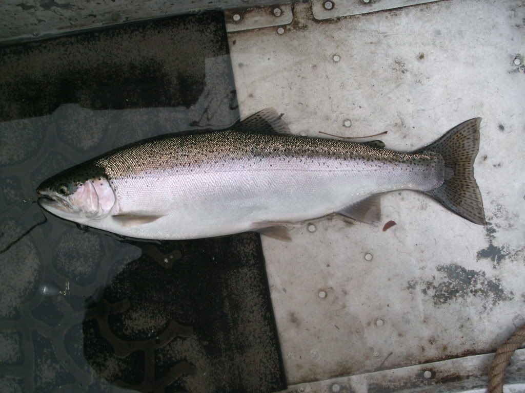 2009_06300016.jpg