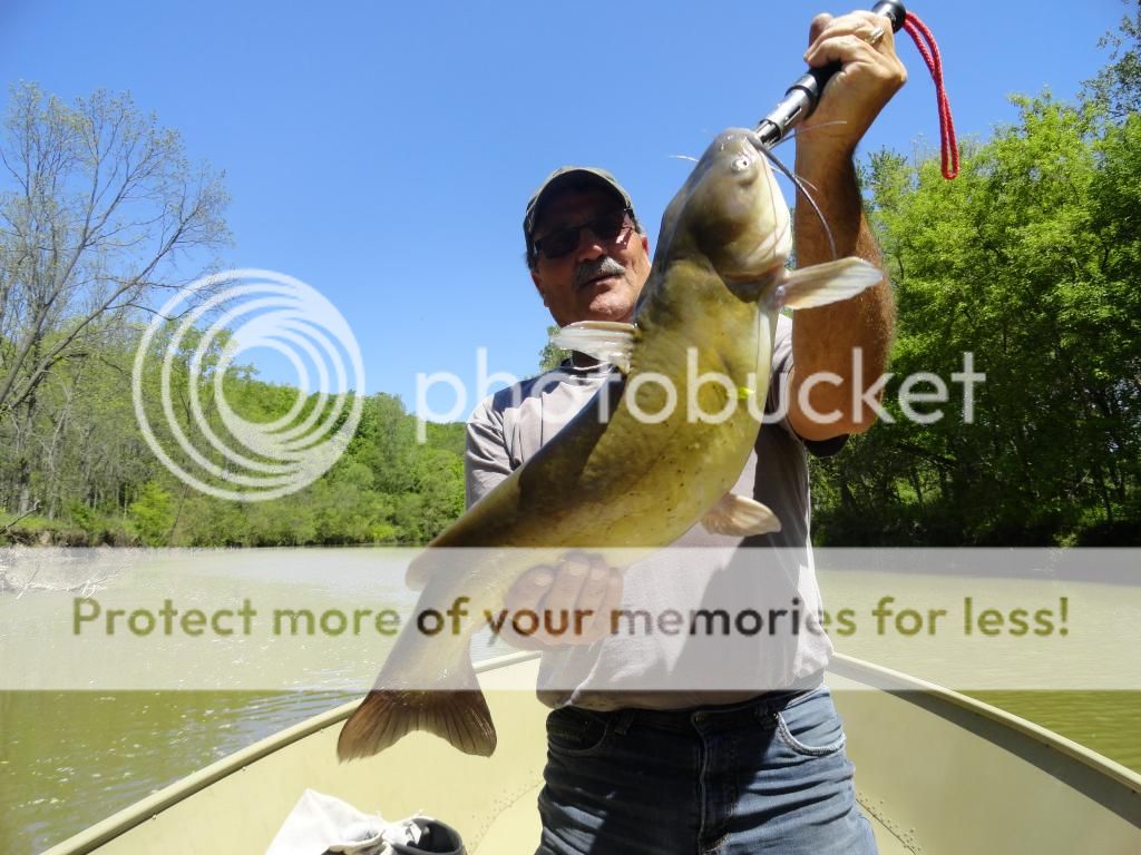 Channel Catfish Update, Sunday June 8th Channel 68