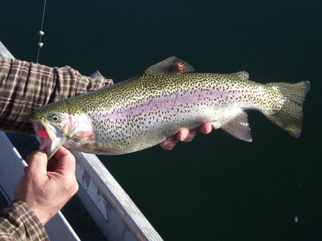 2012_04070142.jpg