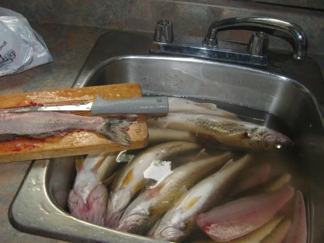 012-2.jpg