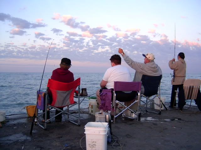 PortBruceperchJuly262011002.jpg